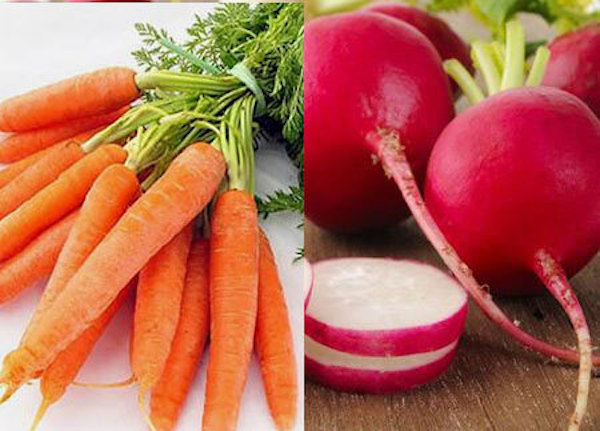 Cà rốt và củ cải đường