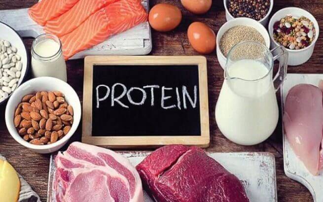 Tầm quan trọng của protein đối với cơ thể con người - Nhà thuốc Long Châu