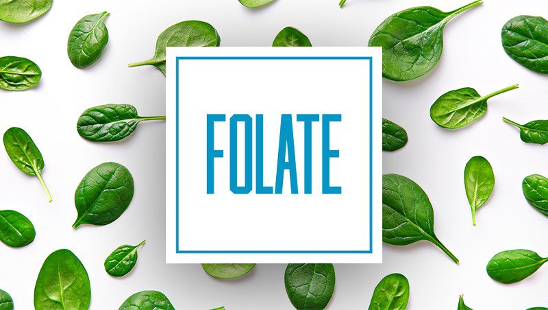 Folate (vitamin B9): Công dụng, liều dùng, tác dụng phụ | Vinmec